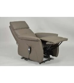 Fauteuil Releveur 2 Moteurs Vinyle FERGANA A19