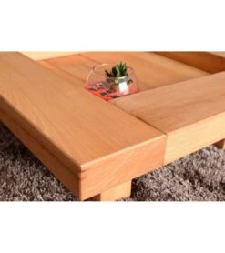 Mobilier Chic Magasin -Mobilier Chic Magasin table basse feng shui carayon 1